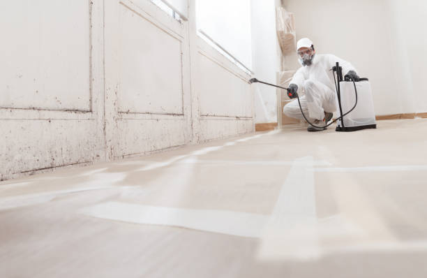24/7 Emergency Mold Cleanup experts in Franklin, TN